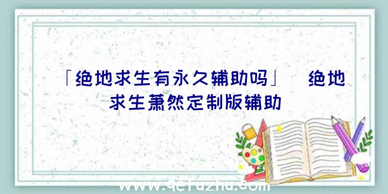 「绝地求生有永久辅助吗」|绝地求生萧然定制版辅助